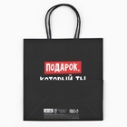 Пакет подарочный новогодний «Подарок, который ты заслужил», 22×22×11 см - Фото 8