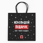 Пакет подарочный новогодний «Небольшой подарок», 22 х 22 х 11 см , Новый год - Фото 7