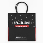 Пакет подарочный новогодний «Небольшой подарок», 22 х 22 х 11 см , Новый год - Фото 8