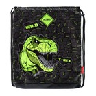 Рюкзак школьный 40х33х15см, эргономичная спинка, Across 410, серый/зеленый - фото 24639454