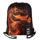 Рюкзак школьный 37 x 28 x 13см, эргономичная спинка, Across 557, + мешок, черный/оранжевый - Фото 11