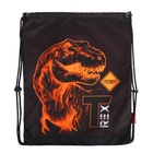 Рюкзак школьный 37×28×13 см, эргономичная спинка, Across 557, + мешок, чёрный/оранжевый - Фото 13