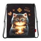 Рюкзак школьный 37 x 28 x 13см, эргономичная спинка, Across 557, серый - фото 24639642