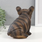 Фигурка "Щенок Французского бульдога" 16,5 х 11,5 х 18 см. - фото 27392528