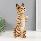 Копилка "Котенок Том" 27 х 10 х 10 см. - фото 24602356