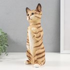 Копилка "Котенок Том" 27 х 10 х 10 см. - фото 24602358