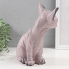 Фигурка "Котенок Сфинкс" 22 х 10 х 21 см. - фото 24602366