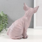 Фигурка "Котенок Сфинкс" 22 х 10 х 21 см. - фото 26209653