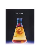 Набор предметных тетрадей Calligrata TOP «Школьный стиль», 10 предметов, 48 листов, со справочным материалом, пластиковая обложка - Фото 19