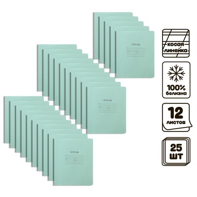 Комплект тетрадей из 25 штук, 12 листов в косую линию КФОБ "Зелёная обложка", с алфавитом, 60 г/м2, блок офсет, белизна 100%