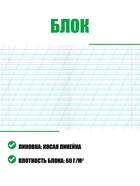 Набор тетрадей 12 листов в косую линейку «Зелёная обложка», с алфавитом, 60 г/м², белые листы, 25 шт. 10336588