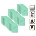 Комплект тетрадей из 25 штук, 18 листов в линию КФОБ "Зелёная обложка", с алфавитом, 60 г/м2, блок офсет, белизна 100% - фото 321770744