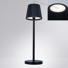 Уличный настольный светильник Arte Lamp Fuyue A1616LT-1BK, LED, 3 Вт, 11х11х38 см, 250 Лм, чёрный - фото 4384829