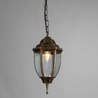 Уличный подвесной светильник Arte Lamp Pegasus A3151SO-1BN, E27, 60 Вт, 16х16х30 см, чёрный - фото 4384836