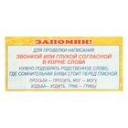 Набор шпаргалок "Русский язык для начальной школы" 9 видов - фото 24593018