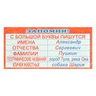 Набор шпаргалок "Русский язык для начальной школы" 9 видов - фото 24593019