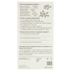 Набор шпаргалок "Пишем правильно 1-4 класс" 10,9 х 20,2 см - фото 24593024