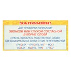 Набор шпаргалок "Пишем правильно 1-4 класс" 10,9 х 20,2 см - фото 24593029