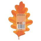 Плакат "Лист дуба" 11 х 7 см (комплект 20 шт) - фото 24593064