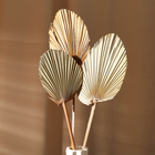 Сухие цветы «Лист пальмовый», 52×14×2 см - Фото 4