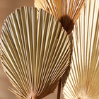 Сухие цветы «Лист пальмовый», 52×14×2 см - Фото 5