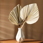 Сухие цветы «Лист пальмовый», 50×25×2 см - Фото 3