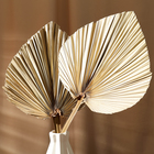 Сухие цветы «Лист пальмовый», 50×25×2 см - Фото 4