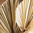 Сухие цветы «Лист пальмовый», 50×25×2 см - Фото 5