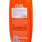 Гель для душа VIDAL с витамином С, 250 мл - Фото 3