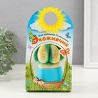 Растущий подарок травка Экоживчик "Кактус Астрофитум" голубой - фото 24602395