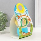 Растущий подарок травка Экоживчик "Кактус Астрофитум" голубой - фото 24602396