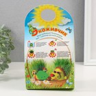 Растущий подарок травка Экоживчик "Кактус Астрофитум" голубой - фото 24602397