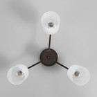 Люстра "Исла" 3х60Вт Е27 Коричневый 48х48х22см - фото 24612941