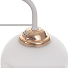 Бра "Майли" 1х60Вт Е27 Белый,золото 21х12х26,5см - фото 24666063