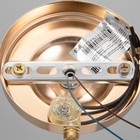 Бра "Майли" 1х60Вт Е27 Белый,золото 21х12х26,5см - фото 24666065