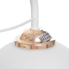 Люстра "Майли" 5х60Вт Е27 Белый,золото 45х53х46см - фото 24632140