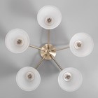 Люстра "Люси" 5х60Вт Е27 Античная бронза 60х60х29см - фото 24612950