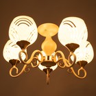 Люстра "Патриция" 5х40Вт Е27 Белый, золото 56х56х35см - фото 24632144