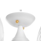 Люстра "Патриция" 5х40Вт Е27 Белый, золото 56х56х35см - фото 24632146