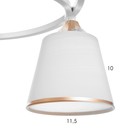 Люстра "Роуз" 3х40Вт Е27 Белый, золото 42х42х23см - фото 24654343