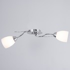 Люстра "Джил" 2х60Вт Е27 Хром 54х25х22см - фото 24632185