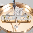 Люстра "Алеста" 3х60Вт Е27 Золото 52х52х23см - фото 24612970