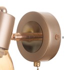 Бра "Джуди" 1х60Вт Е14 Золото 21х10х19см - фото 24666094