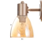 Бра "Джуди" 1х60Вт Е14 Золото 21х10х19см - фото 24666095