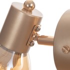 Бра "Джуди" 1х60Вт Е14 Золото 21х10х19см - фото 24666096