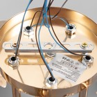 Люстра "Кейти" 5х60Вт Е27 Золото 52х52х28см - фото 24632236