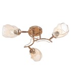 Люстра "Лойс" 3х40Вт Е27 Золото 50х50х22см - фото 24654358