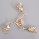 Люстра "Лойс" 3х40Вт Е27 Золото 50х50х22см - фото 24654359