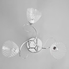 Люстра "Нора" 3х60Вт Е27 Хром 52х52х26см - фото 24632333