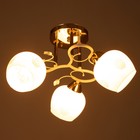 Люстра "Оливия" 3х60Вт Е27 Золото, белый 48х48х28см - фото 24613007